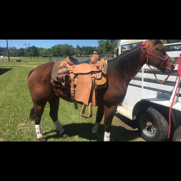 Meet your Posher, Charles - Picture 1 of 1